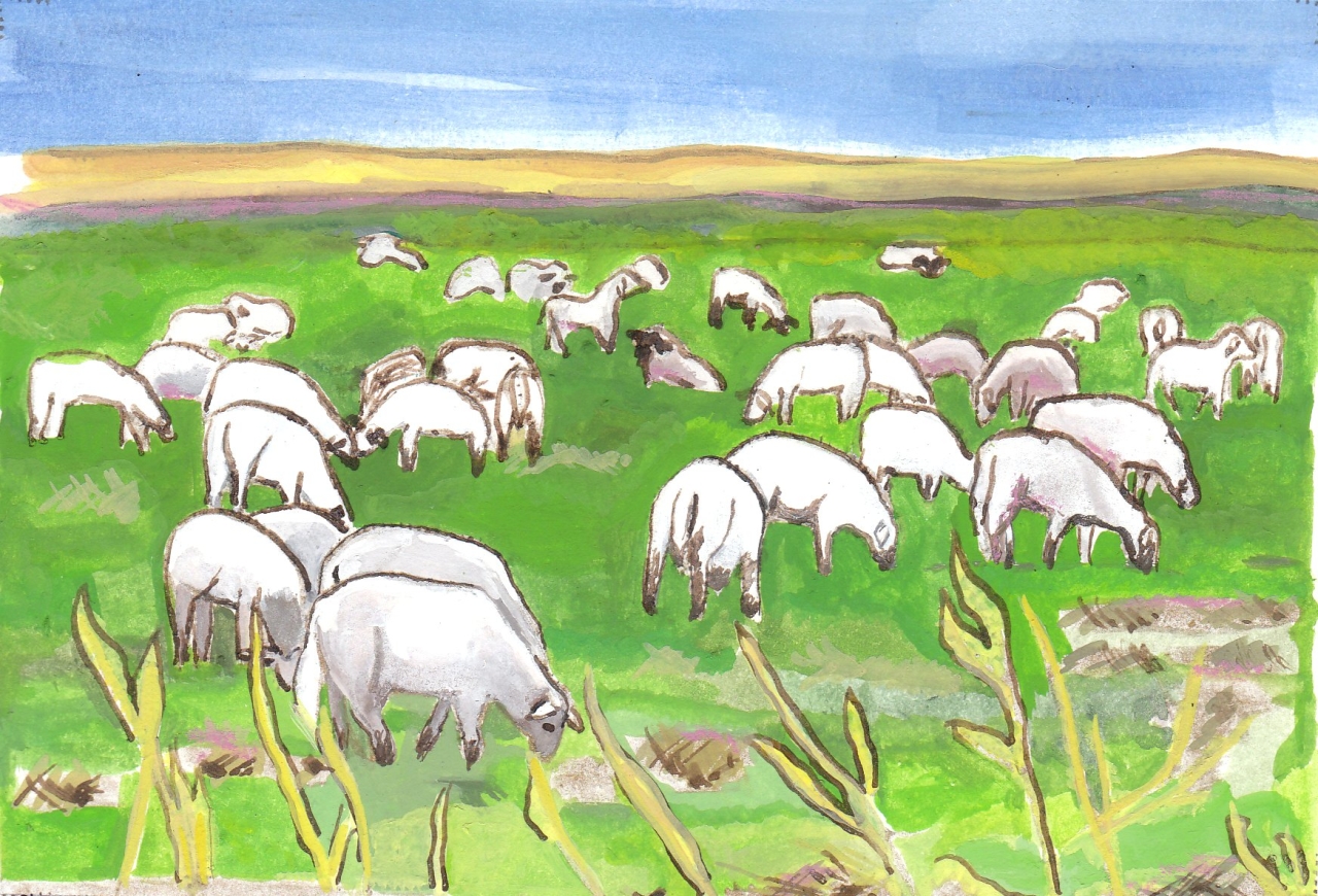 laboratorium haus 1 Lydia Müller –  Illustration III